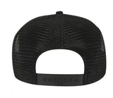 PSYCHE Cortex Snapback