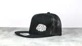 PSYCHE Cortex Snapback